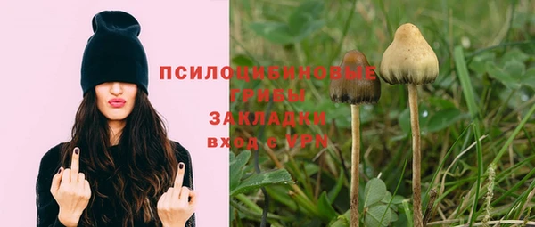 2c-b Беломорск