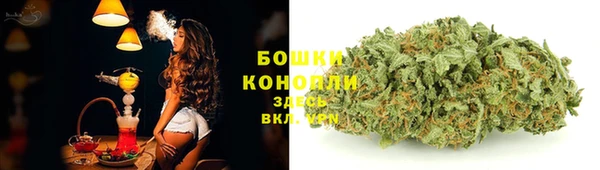 прущие крисы Белокуриха