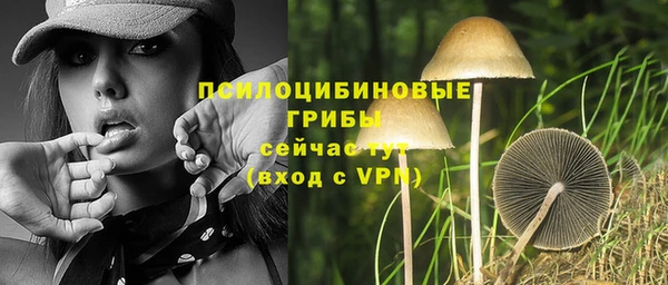 ешки Белоозёрский