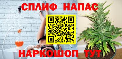 индика Пугачёв