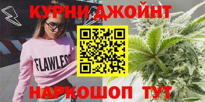 индика Пугачёв