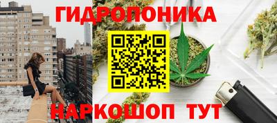 молекула духа Пушкино