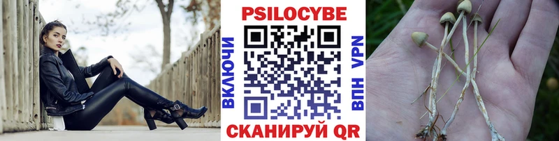Псилоцибиновые грибы мухоморы  omg зеркало  Пыть-Ях  хочу  