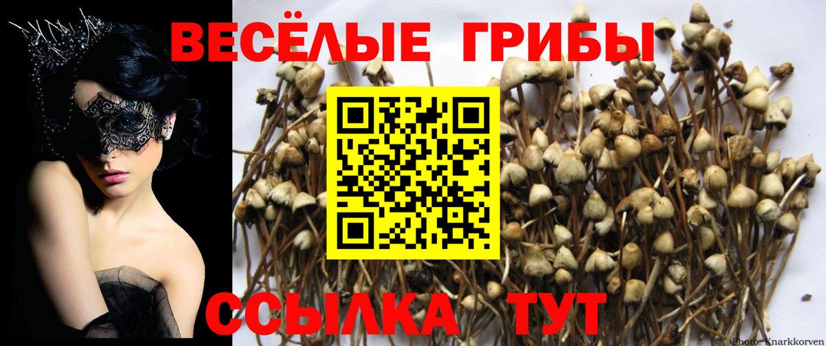 Пыть-Ях  Галлюциногенные грибы Cubensis  Галлюциногенные грибы GOLDEN TEACHER  купить  цена  Вход с VPN 