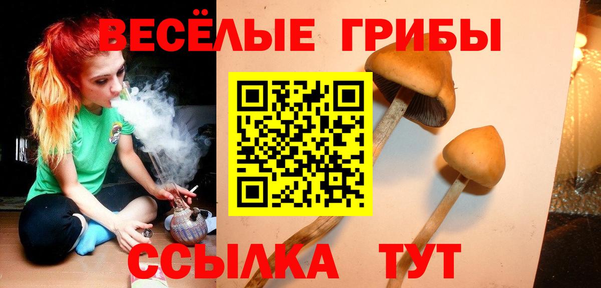 Галлюциногенные грибы прущие грибы Пыть-Ях